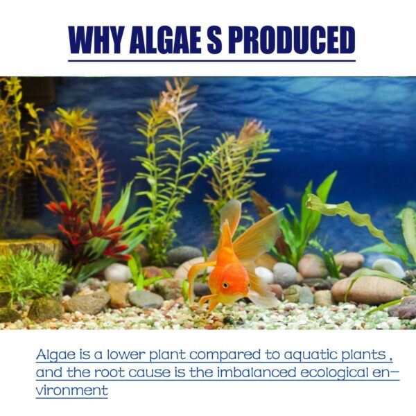 Igbondigal Lichen Fish Tank Cleaning Supplies Algaecide To Remove Moss And Green Water Algae - Image 5