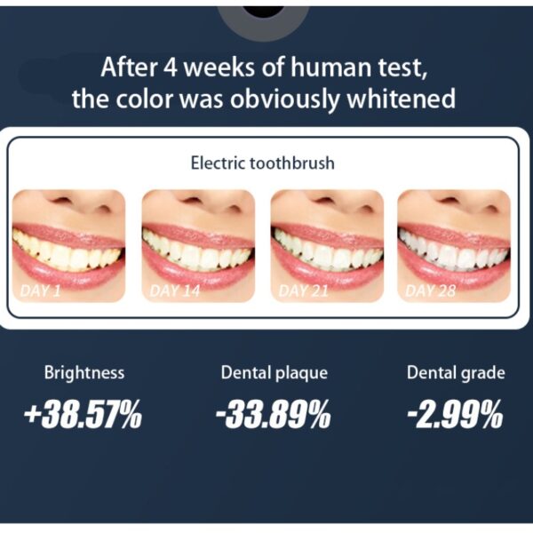 2024 New Electric Toothbrush IPX7 Waterproof Smart  Brush Ultrasonic Whitening Teeth Tooth Brush For Toothbrushes 120-day - Image 3
